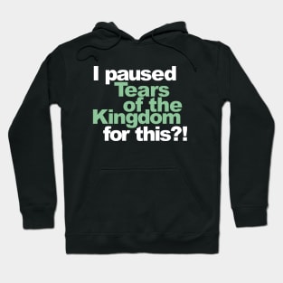 I paused Tears of the Kingdom for this?! Hoodie